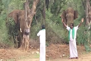 man disturbed a wild elephant  wild elephant  dharmapuri tamilnadu  elephant attack  കാട്ടാനയ്‌ക്ക് മുന്നിൽ കൈകൂപ്പി നിന്ന് അഭ്യാസം  കാട്ടാന  കാട്ടാന ആക്രമണം  കാട്ടാനയെ ശല്യം ചെയ്‌ത് മനുഷ്യൻ  ധർമപുരി തമിഴ്‌നാട്