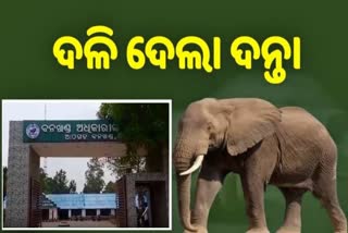 Elephant attack in Athagarh