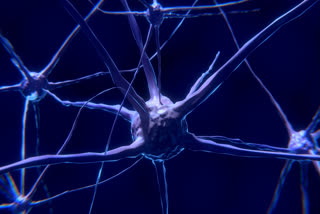 Study finds how some motor neuron disease, dementia patients share rare genetic defects