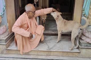 dog in Nabadwip Temple