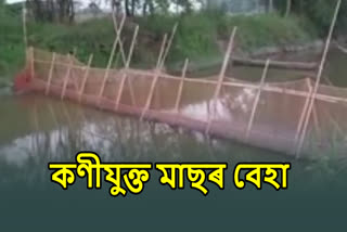 Violation of Fisheries Act in Teok