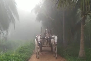 Snow in Konaseema