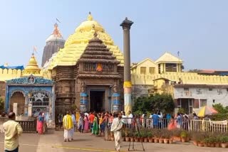 chandan yatra ritual of lord jagannath