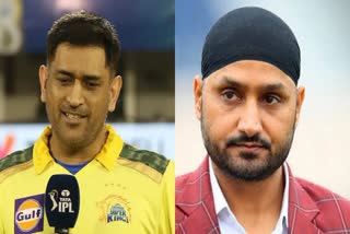 ms dhoni and harbhajan singh