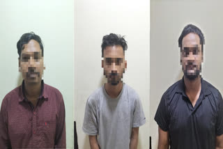 stf arrests 3