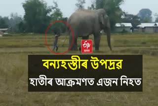 Wild Elephant killed one man at Bihmari