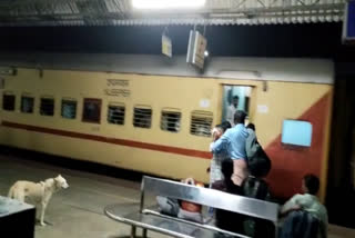 Train attack  train passenger attack  passenger attacked co passenger in train  shornur train passenger attack  ഷൊർണൂർ  ട്രെയിൻ യാത്രക്കാരന് കുത്തേറ്റു  ട്രെയിനിൽ യാത്രക്കാരന് കുത്തേറ്റു  ട്രെയിനിൽ കുത്തേറ്റു  ഷൊർണൂരിൽ ട്രെയിൻ യാത്രക്കാരന് കുത്തേറ്റു  സഹയാത്രികൻ കുത്തിപ്പരിക്കേൽപ്പിച്ചു  ഷൊർണൂർ