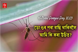 National Dengue Day 2023 Know the disease symptoms and treatment