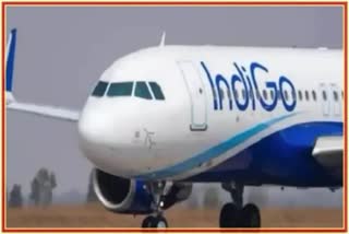 Bird Hit Plane At Nagpur