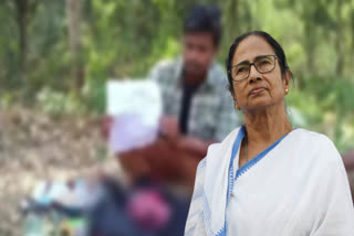 Mamata Banerjee