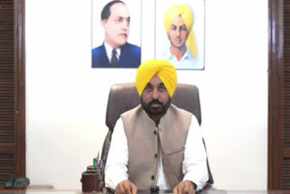 Chief Minister Bhagwant's statement on paddy sowing