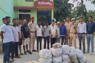 Huge quantity of ganja seized in Bihali