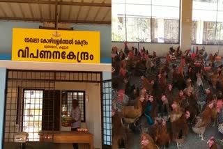 Mundayad Poultry Center  ഗ്രാമശ്രീ കോഴി  കോഴി ഫാം  മുണ്ടയാട് കോഴി വളർത്തൽ കേന്ദ്രം  Gramasree chickens  നാടൻ നേക്കഡ് നെക്ക് കോഴി  കോഴി  ഗ്രാമശ്രീയാണ് താരം  chicken