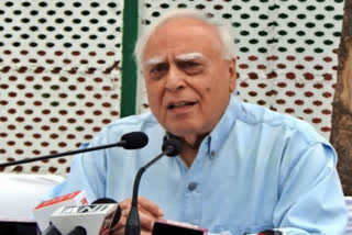 "The way this investigation is going...", says Kapil Sibal on allegations against WFI president