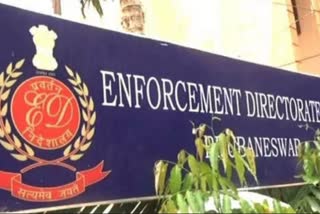 Enforcement Directorate