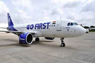 Go First: Aircraft lessor moves Delhi High Court seeking directions to take back its leased plane
