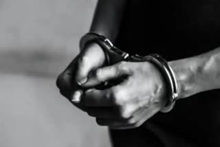 راجستھان میں پولیس نے سائبر گینگ کے دو ٹھگوں کو گرفتار کیا