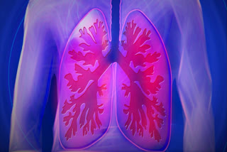 Decoded: Why does air pollution affect your lungs?