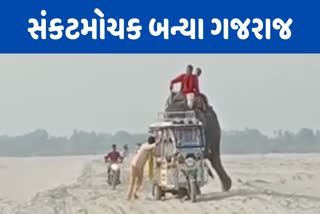 elephant-pushing-e-rickshaw-stuck-in-sand-in-vaishali-video-viral