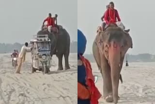 elephant-pushing-e-rickshaw-stuck-in-sand-in-vaishali-video-viral