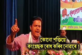 Bhupen Bora at Silchar