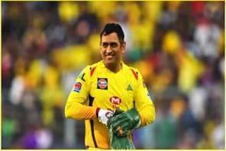 MS Dhoni tops list of celebrities found by ASCI to be violating advertising rules