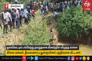 fire department and the villagers safely rescued the jallikattu bull that fell into the well near Dindigul