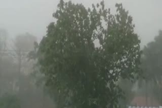 storm in Haldwani