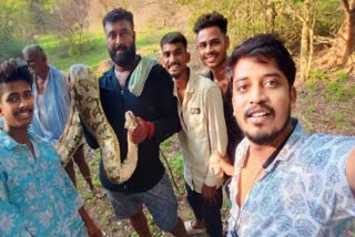 Huge python captured in Chamanahalli village of Mandya