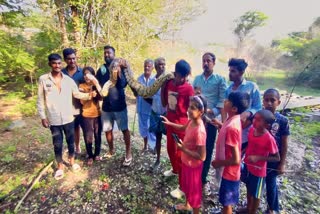 Huge python captured  Huge python captured Chamanahalli  Huge python  Chamanahalli  Karnataka  ആട്ടിന്‍കുട്ടിയെ വിഴുങ്ങാനെത്തി പെരുമ്പാമ്പ്  കര്‍ഷകന്‍ ബഹളം വച്ചതോടെ ഒളിച്ചു  പിടികൂടിയതോടെ സെല്‍ഫിയെടുക്കാന്‍ തിരക്ക്  കര്‍ണാടക  ചമനഹള്ളി  ഭീമന്‍ പെരുമ്പാമ്പിനെ പിടികൂടി  പാമ്പ്  ചാമനഹള്ളി രവി