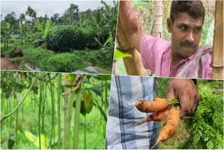 pk santhosh  vegetable farming Idukki  pk santhosh vegetable farming Idukki  സന്തോഷിൻ്റെ പച്ചക്കറി  ഇടുക്കി പച്ചക്കറി കൃഷി  കട്ടപ്പന സ്വദേശി സന്തോഷിൻ്റെ പച്ചക്കറി  ജൈവ പച്ചക്കറി