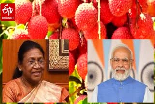 President Droupadi Murmu and PM Narendra Modi to Taste Shahi Litchi of Muzaffarpur