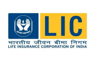 LIC Stock Performance