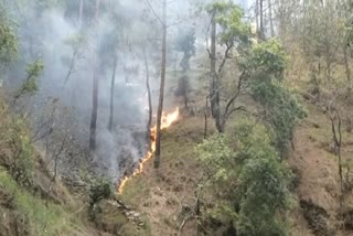 Forest Fire in Bageshwar