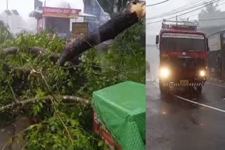 കോട്ടയം ഈരാറ്റുപേട്ടയിൽ വേനൽ മഴയിൽ കനത്ത നാശം  summer rain Heavy damage in Kottayam Eratupetta  ഇടിച്ചുകുത്തി വേനൽ മഴ  കോട്ടയത്തുണ്ടായ വേനൽമഴയിൽ വൻ നാശനഷ്‌ടം  ഈരാറ്റുപേട്ടയിലും സമീപപ്രദേശങ്ങളിലും നാശം  അപകടത്തിൽ ഓട്ടോറിക്ഷ പൂർണ്ണമായി തകർന്നു