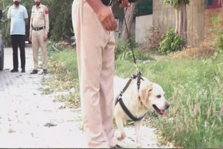 A female dog named Simmi is serving in Faridkot Police