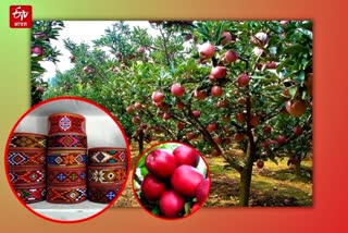 Himachali cap and Kinnauri apple may get GI tag.