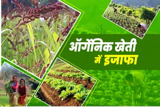 Organic Farming in Uttarakhand