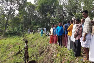 pothu  Old man died in Wild buffalo attack in Kollam  കൊല്ലത്ത് കാട്ടുപോത്തിന്‍റെ ആക്രമണം  കാട്ടുപോത്തിന്‍റെ ആക്രമണത്തിൽ വൃദ്ധന്‍ മരിച്ചു  കൊല്ലം വാര്‍ത്തകള്‍  കൊല്ലം ജില്ല വാര്‍ത്തകള്‍  കൊല്ലം പുതിയ വാര്‍ത്തകള്‍  wild animal attack  wild animal attack in kollam  wild animal attack kottayam  കോട്ടയത്ത് കാട്ടുപോത്ത് ആക്രമണം