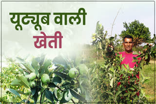 shahdol farmer success story