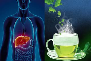 Side Effects of Green Tea