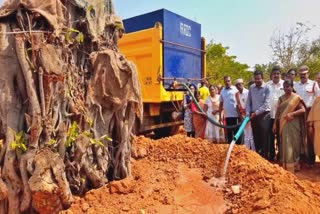 Banyan tree translocated