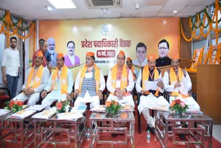 BJP Working Committee Meeting