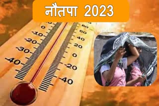 Nautapa 2023 Date