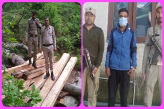 Timber Smuggler Arrested in Uri: اوڑی میں اسمگلر گرفتار، کئی مکعب فٹ عمارتی لکڑی ضبط