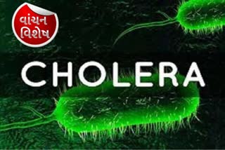 Etv BharatCholera