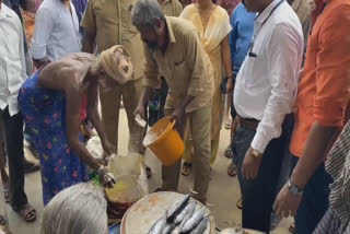 மீன் சந்தையில் உணவு பாதுகாப்பு அதிகாரிகள் திடீர் ஆய்வு... கெட்டுப் போன 50 கிலோ மீன்கள் அழிப்பு!!