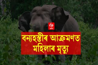 One died in elephant attack in Goalpara