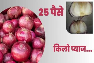 madhya pradesh onion price
