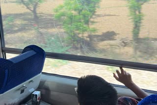 alwar stone pelting on vande bharat train